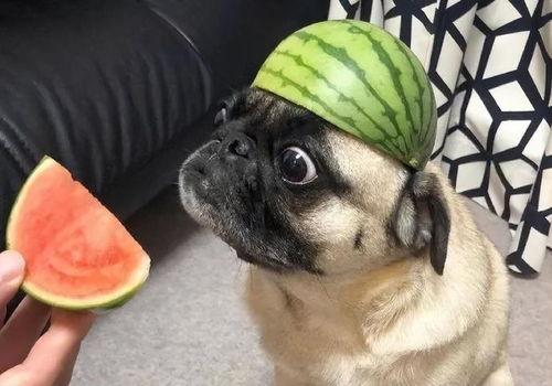 奶奶吃瓜表情包